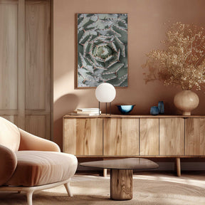 Spiral Succulent Maze Poster