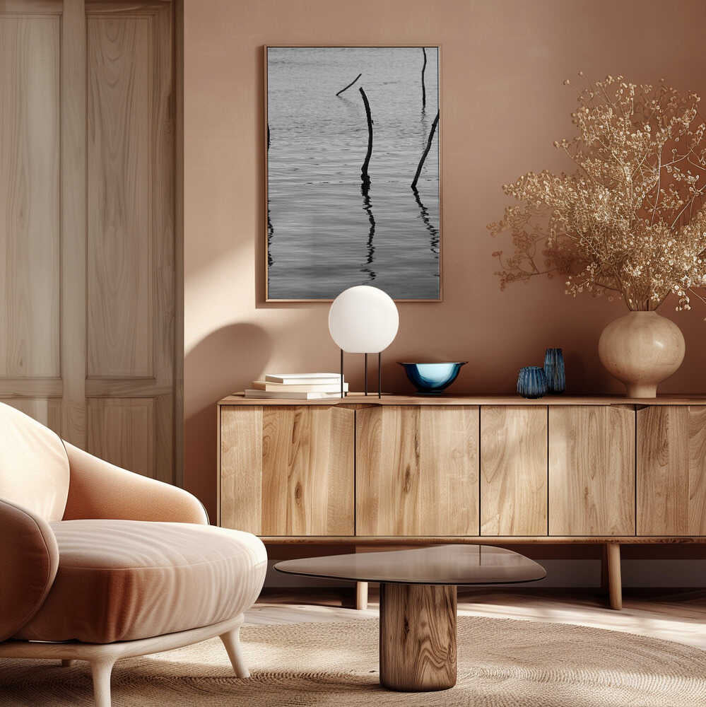 Silent Reflections Poster