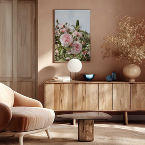 Garden Roses Poster
