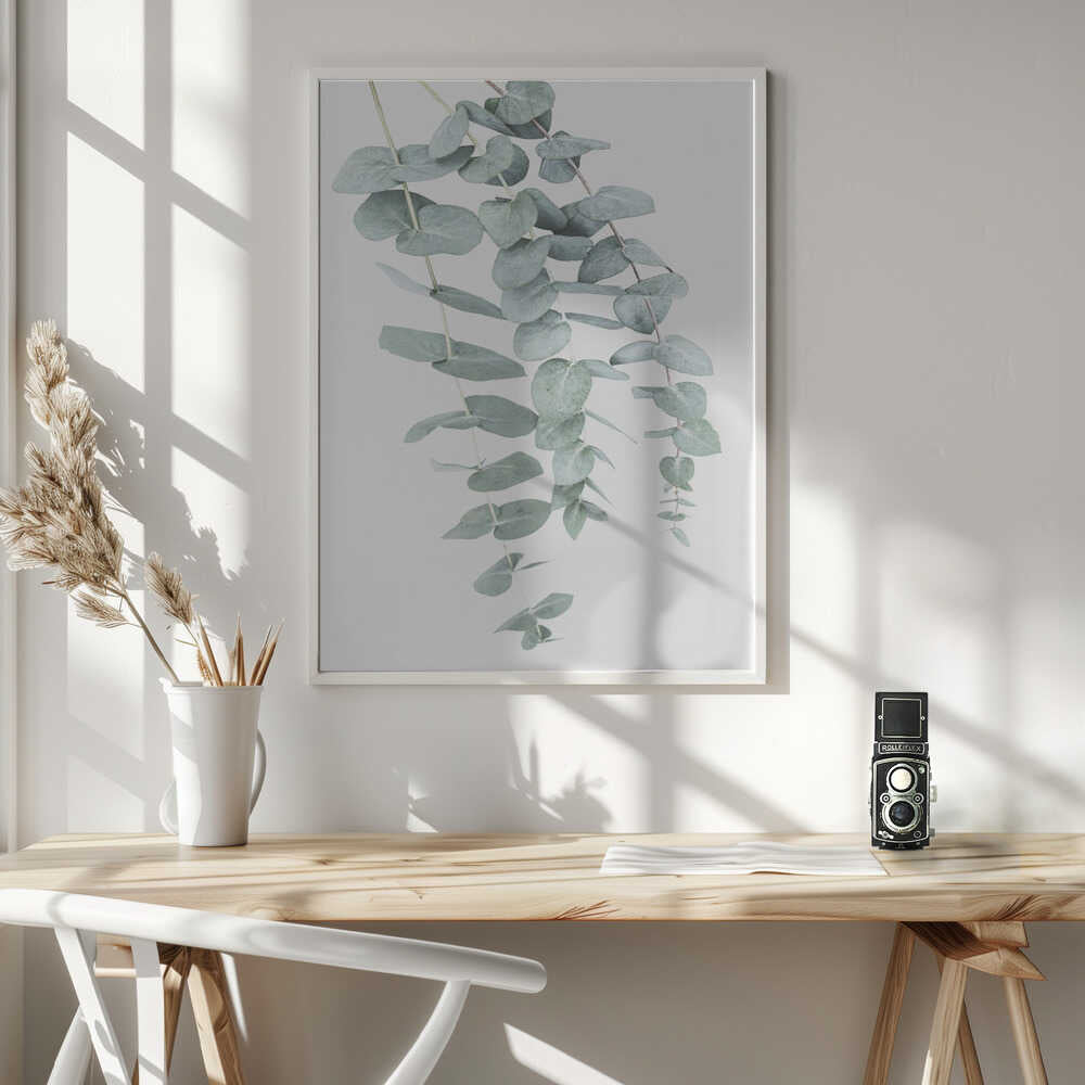 Eucalyptus I Poster