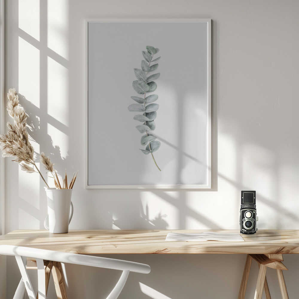 Eucalyptus II Poster