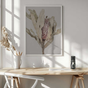Banksia Poster