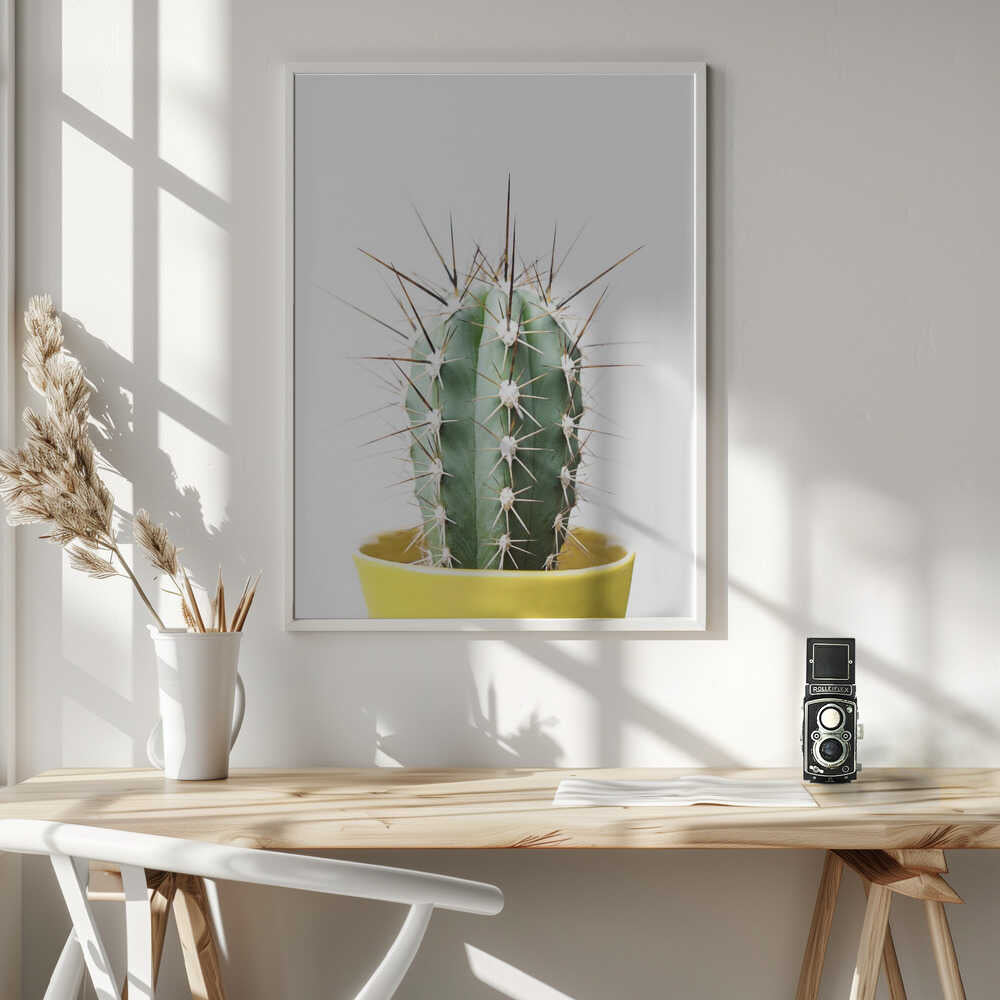 Spikey Cactus Poster