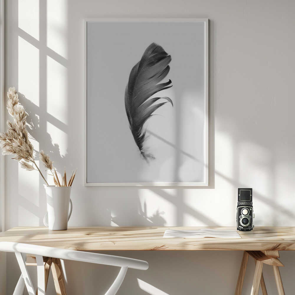 Feather Poster