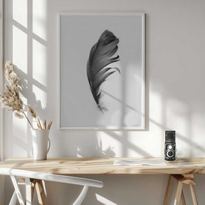 Feather Poster