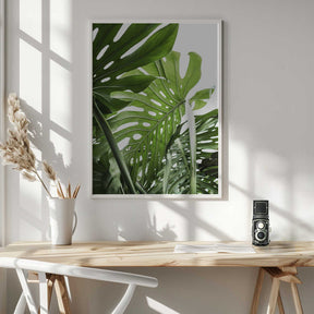 Jungle Poster