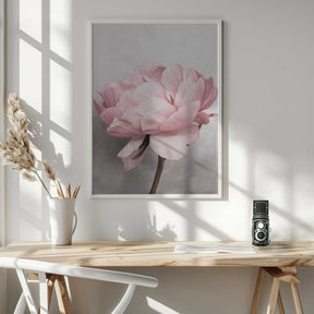 Peony Poster
