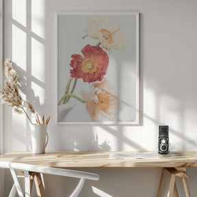 Poppies Poster