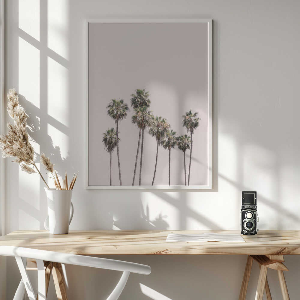 Blush Palms Poster