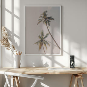 Tropical Palms Poster