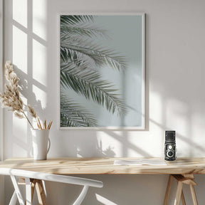 Blue Palms Poster