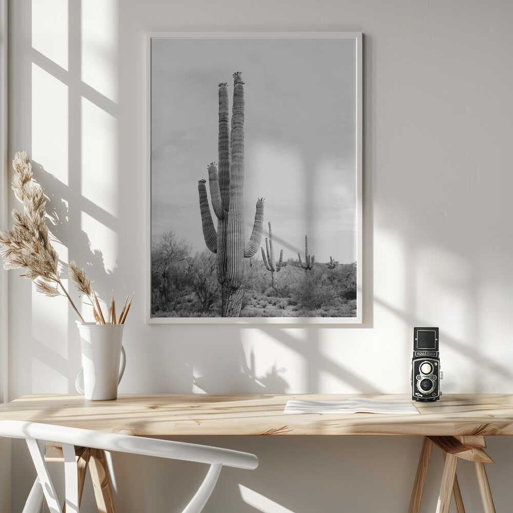 Saguaro B&amp;W Poster