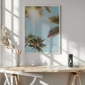 Sun Rays Poster