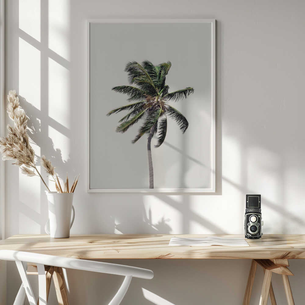 Windy Palm Tree Poster