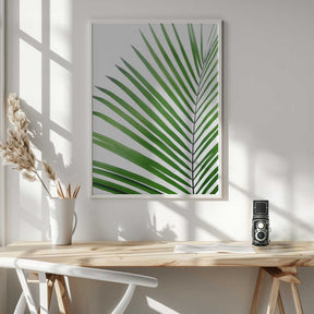 Green Palm Leaf Poster