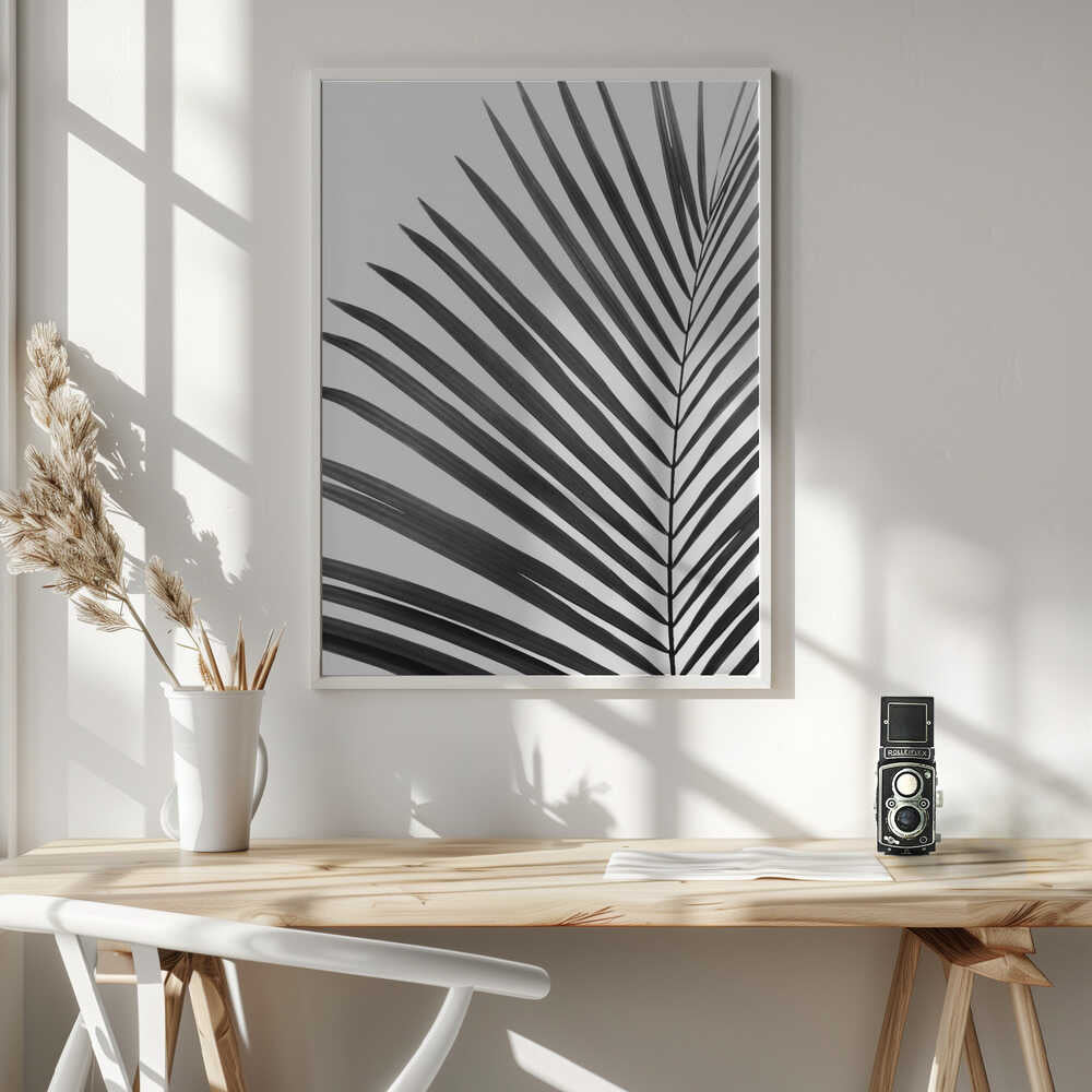 BW Palm Leaf Poster