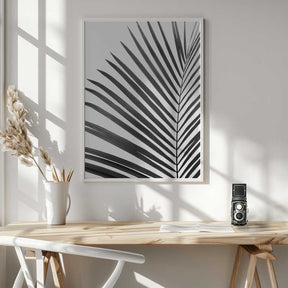 BW Palm Leaf Poster