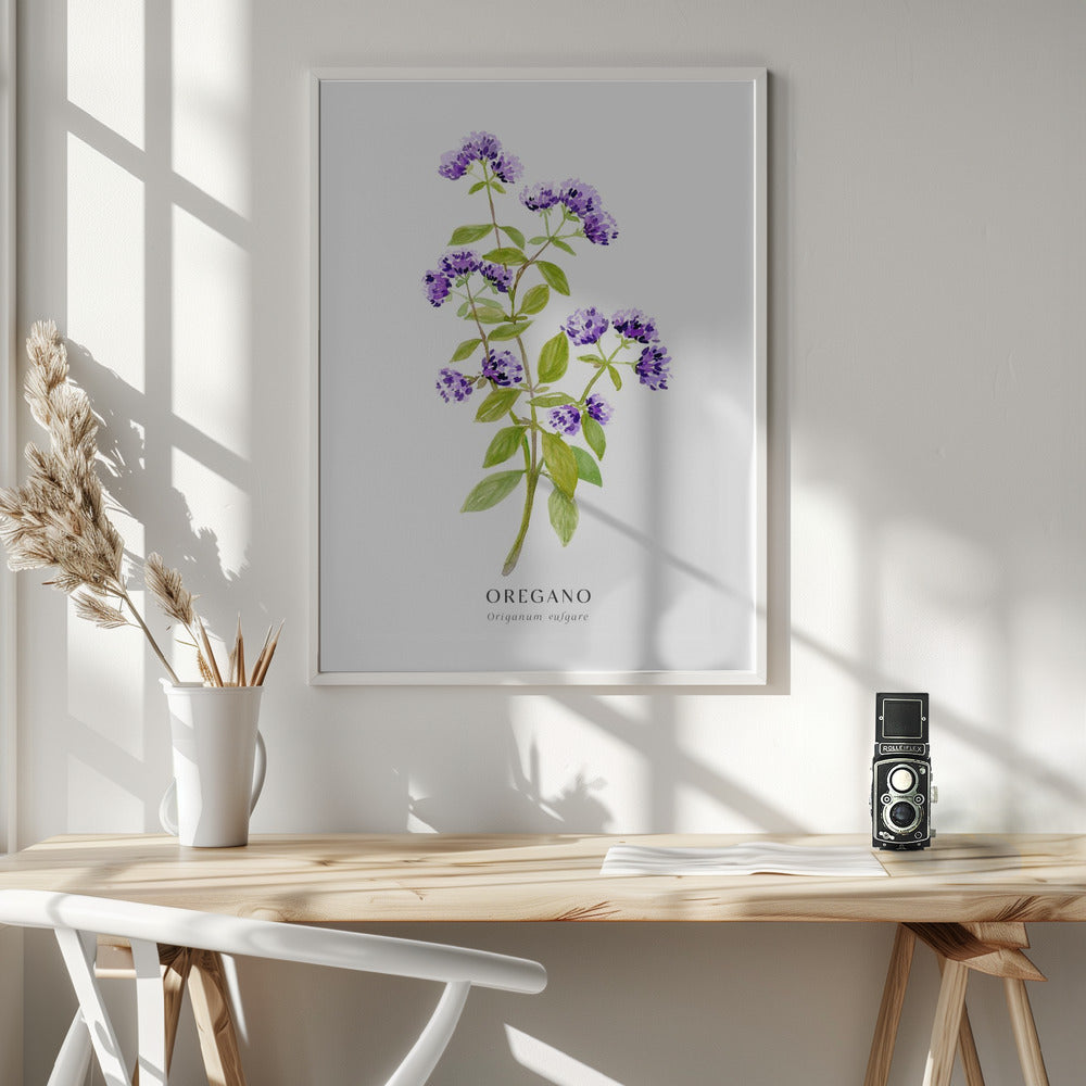 Oregano I Poster