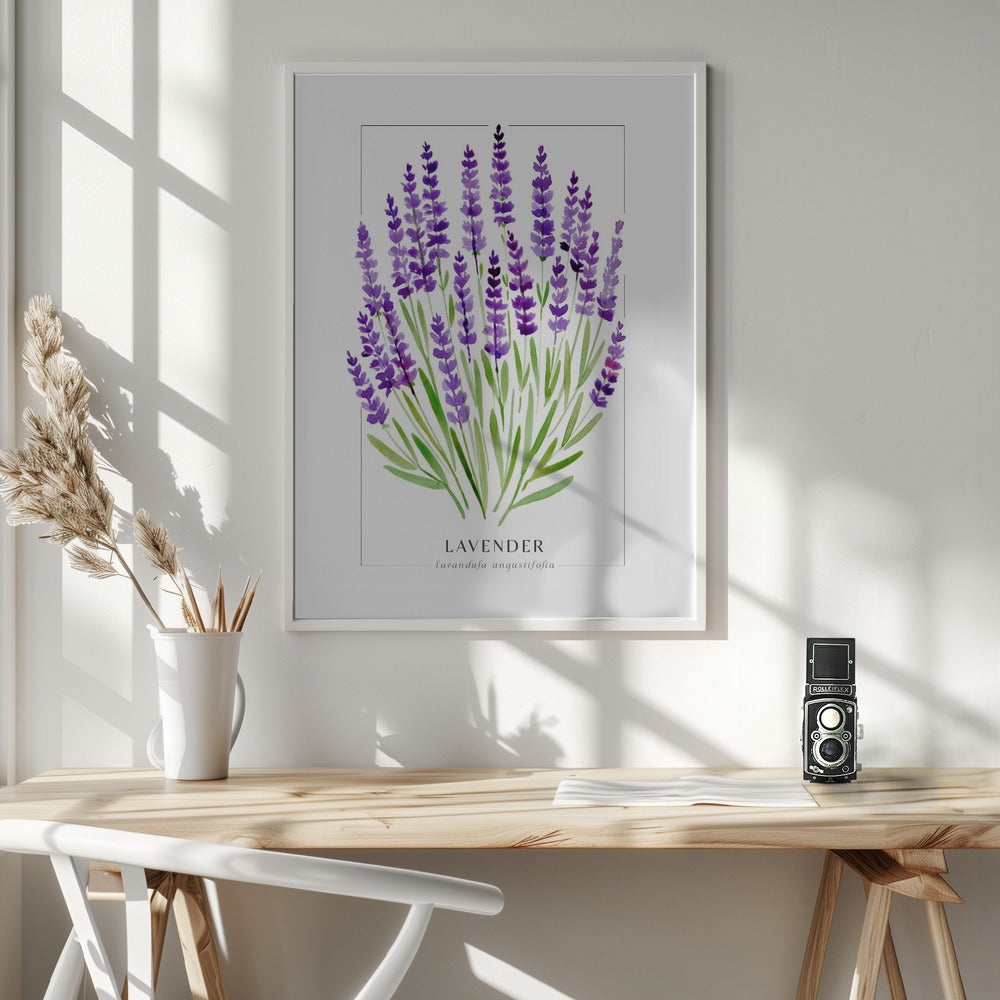 Lavender II Poster