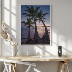 Palmy Twilight Poster