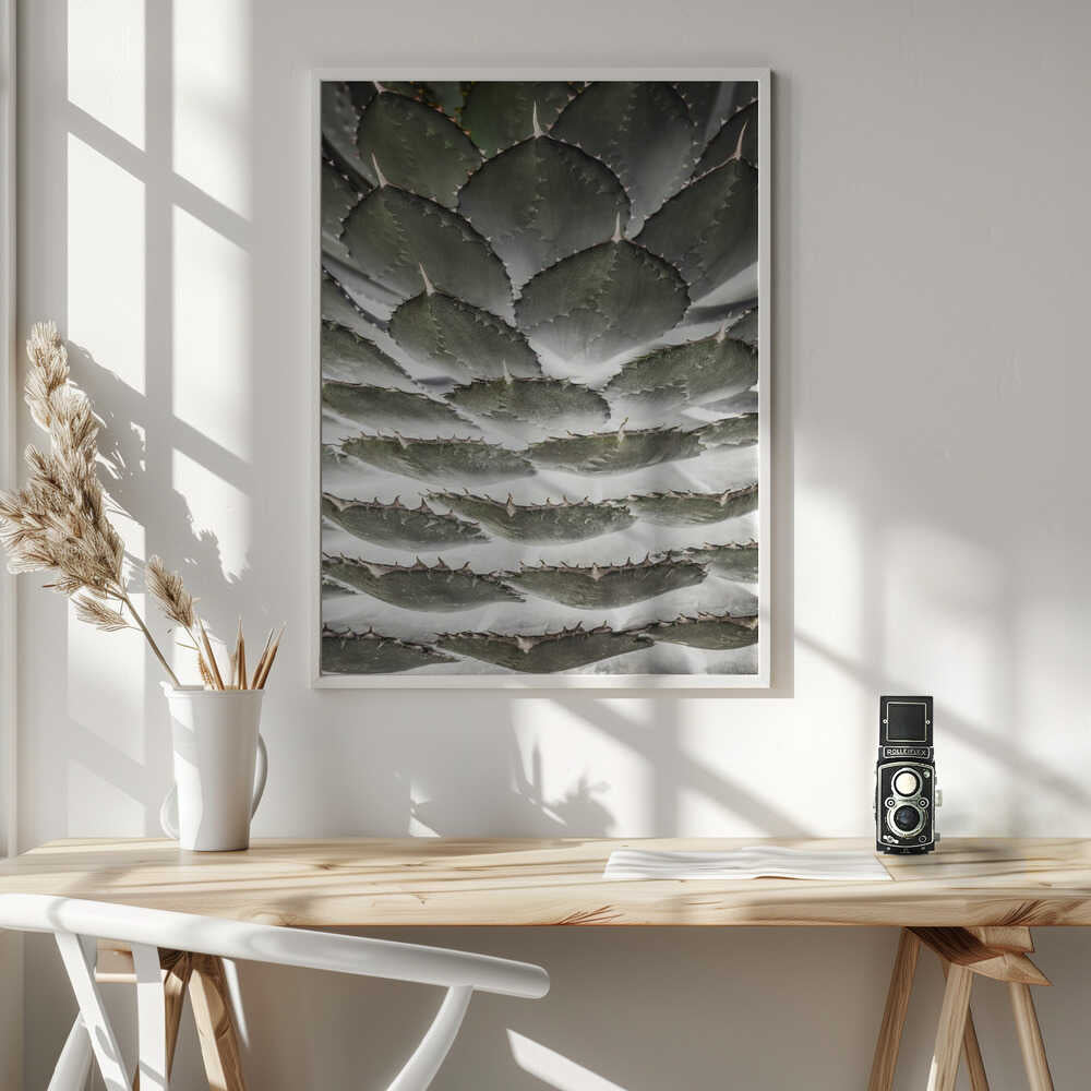 Spiral Succulent Poster