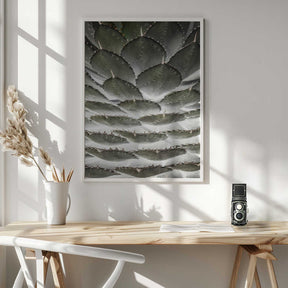 Spiral Succulent Poster