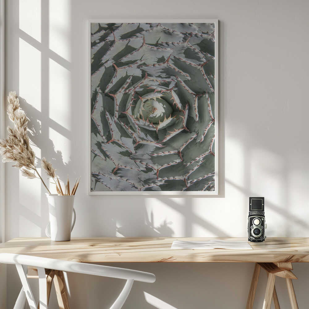 Spiral Succulent Maze Poster