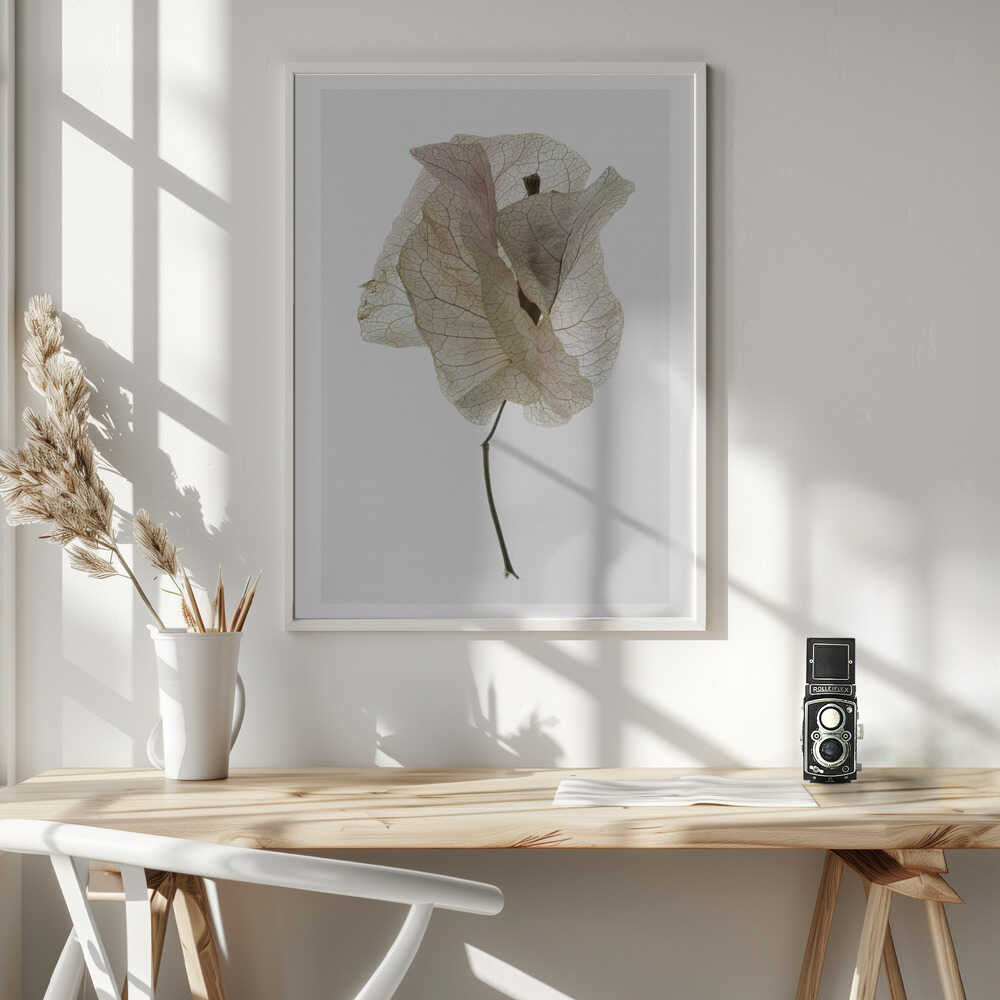 Petal Whisper Poster