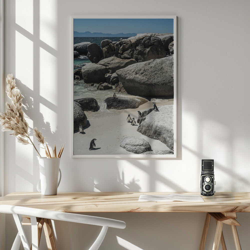 Penguin Cove Serenity Poster