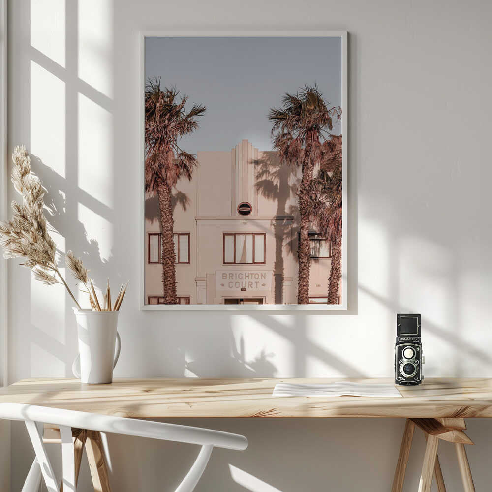 Palm Shadows Poster