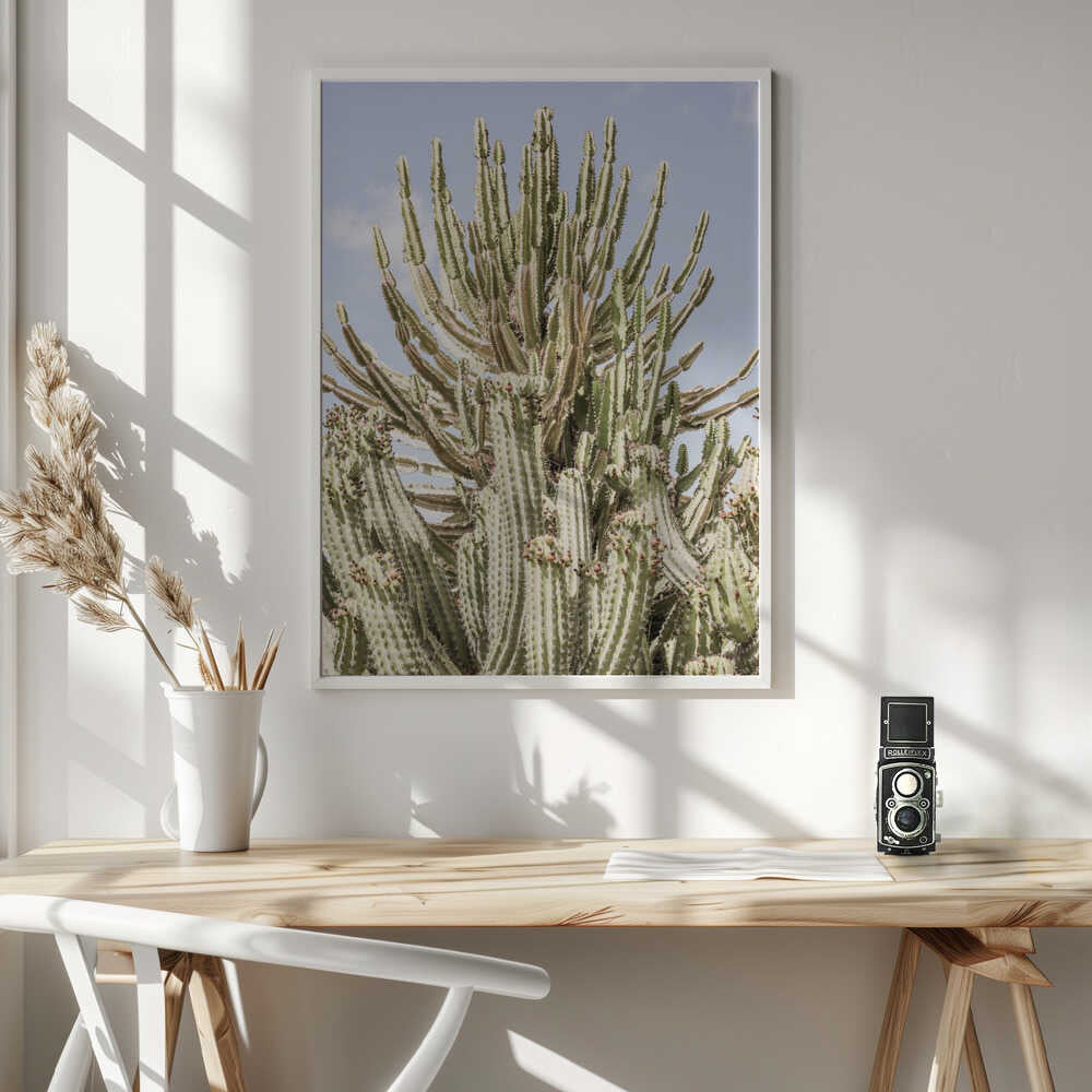 Cactus Symphony Poster