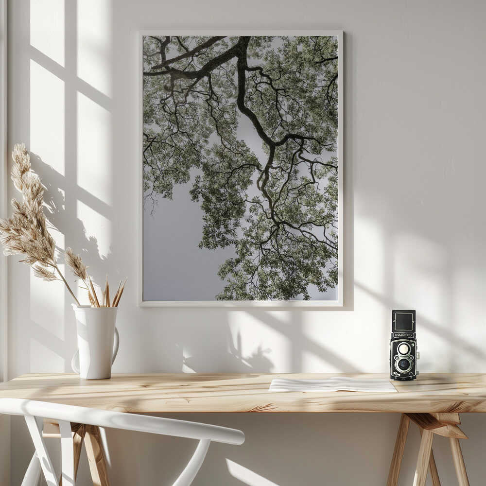 Ethereal Canopy Poster