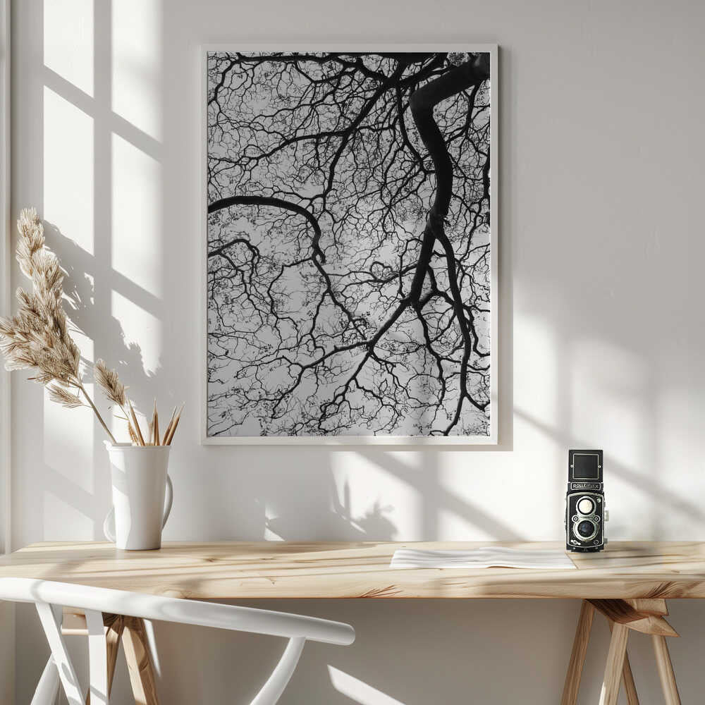 Branches' Dance Poster
