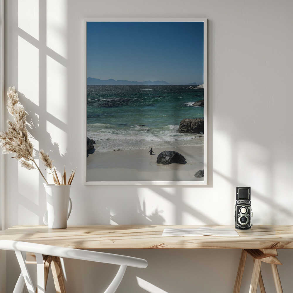 Penguin's Beach Walk Poster