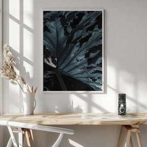 Leafy Shadowscape Poster