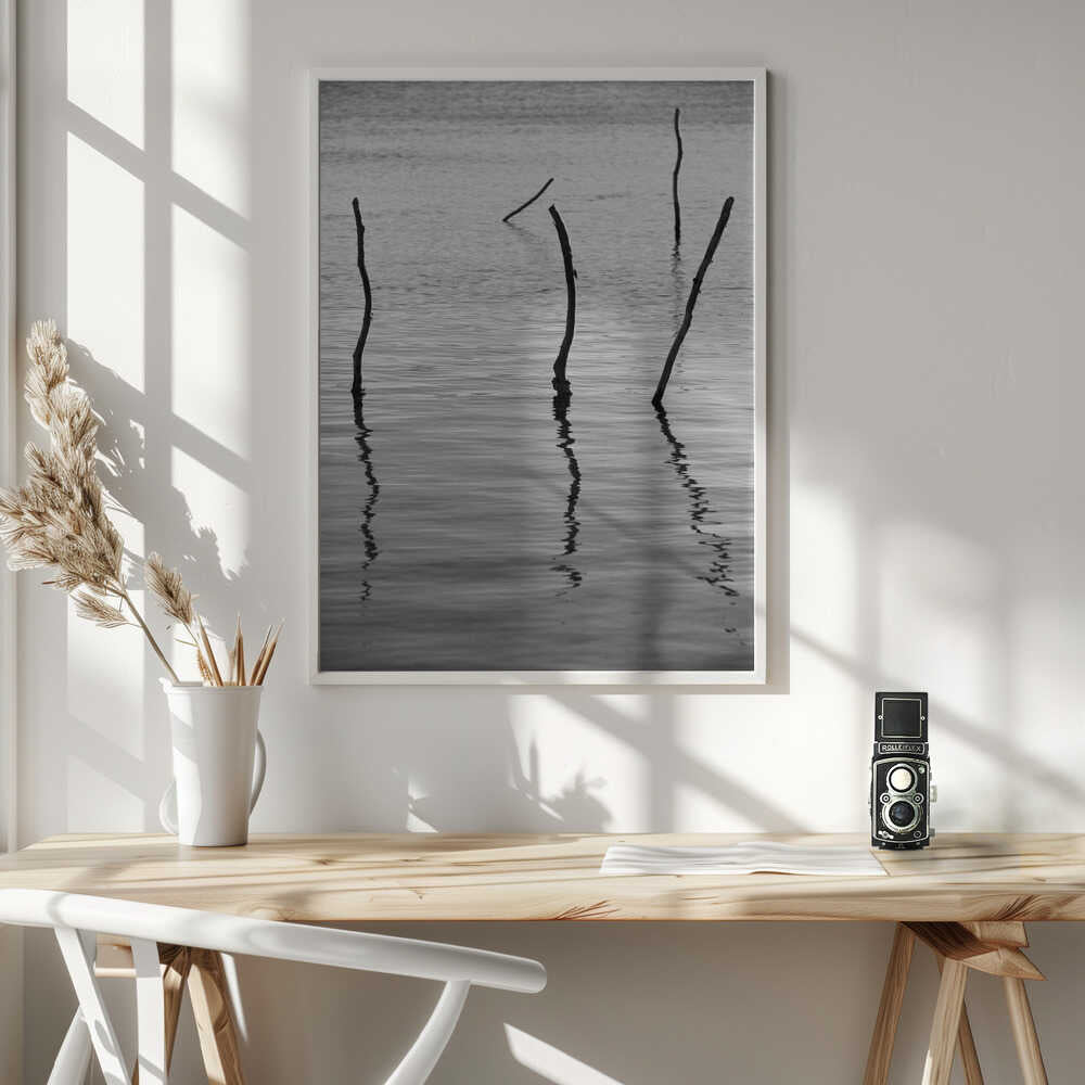 Silent Reflections Poster