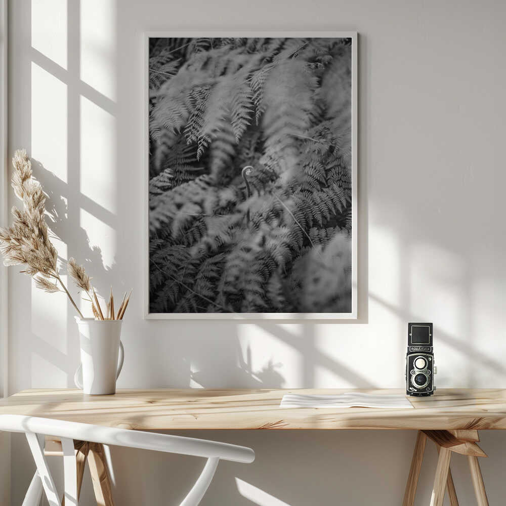 Black And White Photograph Poster