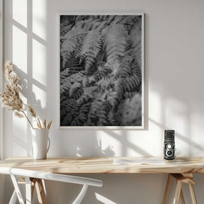 Black And White Photograph Poster