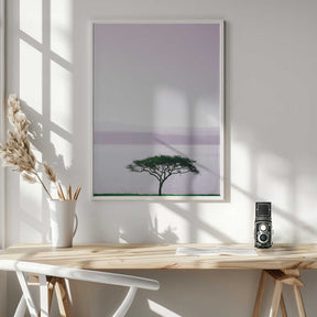 Tree By A Tranquil Lake Poster