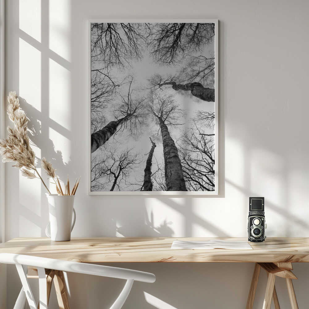 Reaching Branches Poster