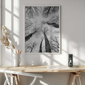 Reaching Branches Poster