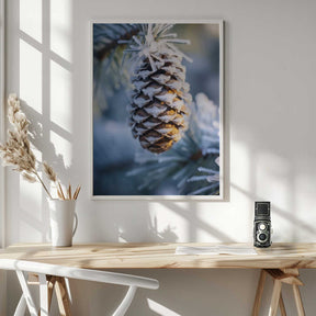 Frosty Pinecone Burst Poster