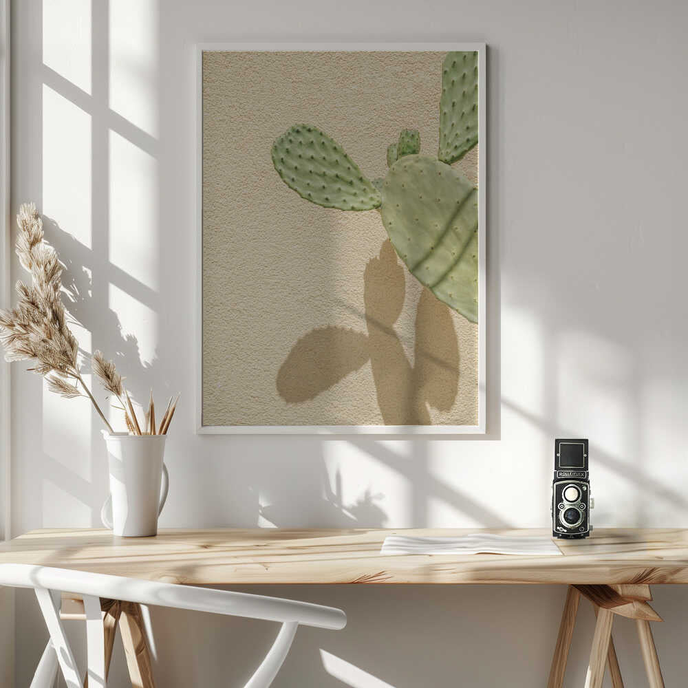 Cacti Shadowplay Poster