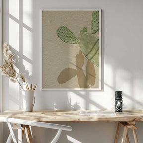 Cacti Shadowplay Poster