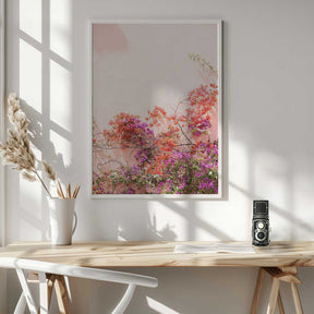 Pink Summer Poster