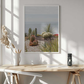 Botanical Garden Poster
