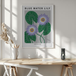Blue Water Lily - National flower of Sri Lanka Poster