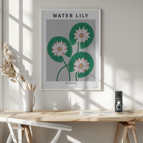 Water Lily - National flower of Iran Poster