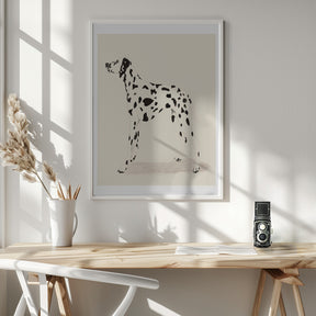 Pandc Dalmation Poster