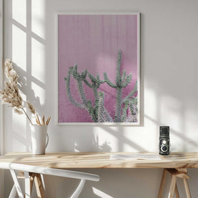 Cactus On Pink Poster